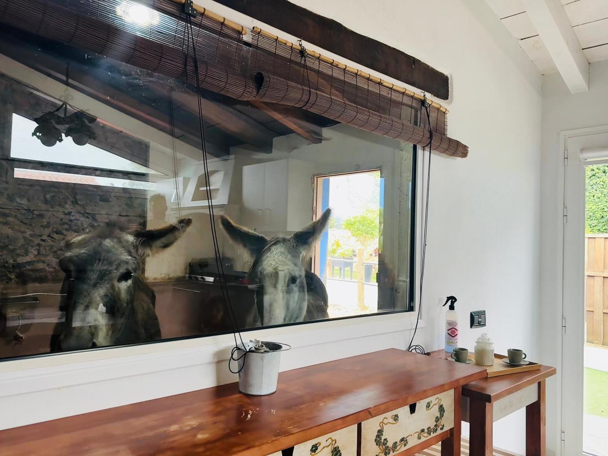 Casa Antigua Villa La Esperanza  Dış mekan fotoğraf